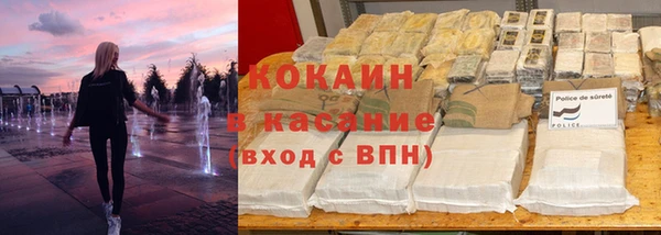 шишки Алексин