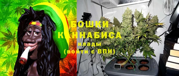 шишки Алексин