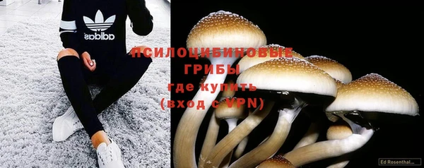 шишки Алексин
