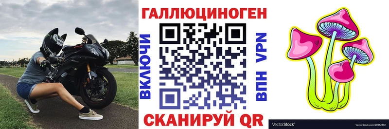 наркотики мега как зайти Галлюциногенные грибы Psilocybine cubensis Грязи